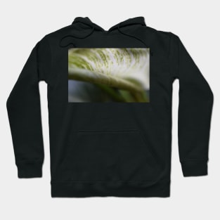 Curled Foliage leaf Hoodie